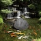 Gardenised Outdoor Natural Artificial Round Rock Decor for Gardens, Lawns, and Landscapes QI004479 - alternate 8